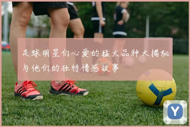 足球明星们心爱的猛犬品种大揭秘与他们的独特情感故事