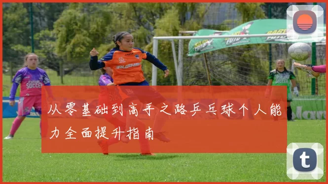 从零基础到高手之路乒乓球个人能力全面提升指南