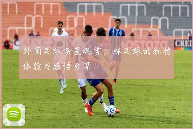 外国足球明星观赏少林足球的独特体验与感悟分享