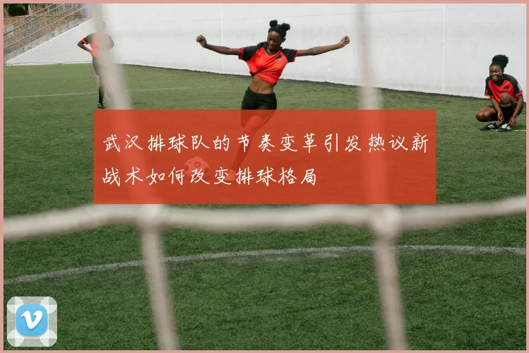 武汉排球队的节奏变革引发热议新战术如何改变排球格局