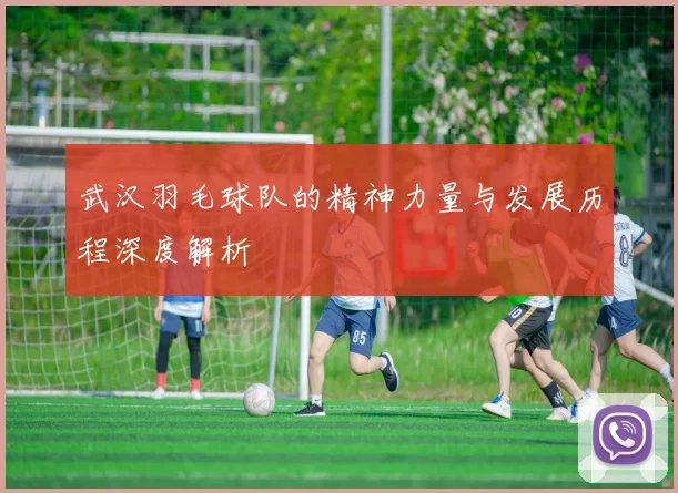 武汉羽毛球队的精神力量与发展历程深度解析