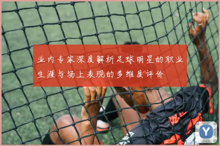 业内专家深度解析足球明星的职业生涯与场上表现的多维度评价