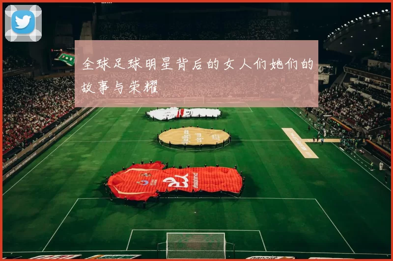 全球足球明星背后的女人们她们的故事与荣耀