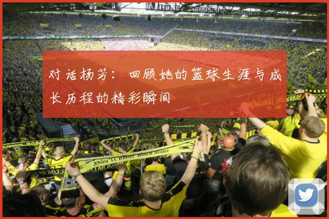 对话杨芳：回顾她的篮球生涯与成长历程的精彩瞬间