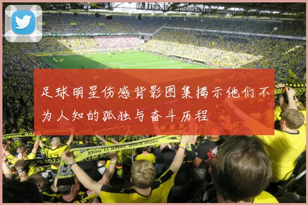 足球明星伤感背影图集揭示他们不为人知的孤独与奋斗历程
