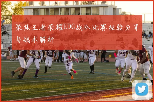 聚焦王者荣耀EDG战队比赛经验分享与战术解析