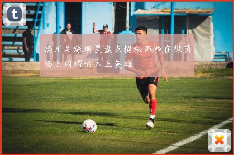 扬州足球明星盘点揭秘那些在绿茵场上闪耀的本土英雄