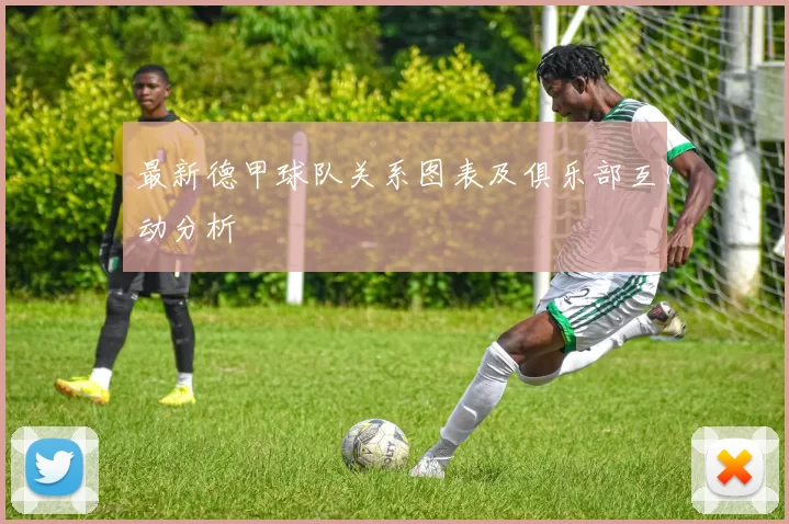 最新德甲球队关系图表及俱乐部互动分析