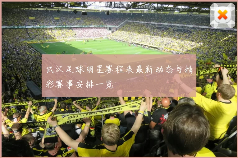武汉足球明星赛程表最新动态与精彩赛事安排一览
