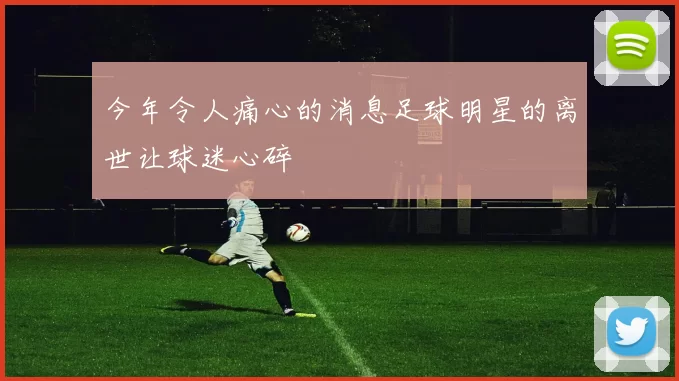 今年令人痛心的消息足球明星的离世让球迷心碎