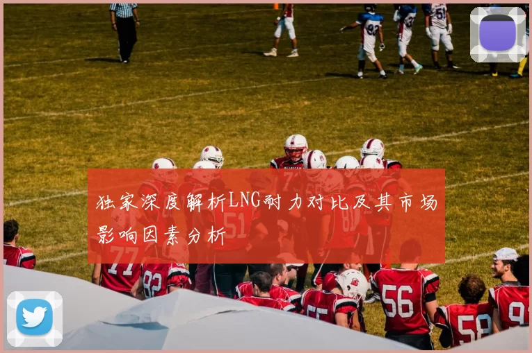 独家深度解析LNG耐力对比及其市场影响因素分析