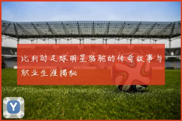 比利时足球明星骆驼的传奇故事与职业生涯揭秘