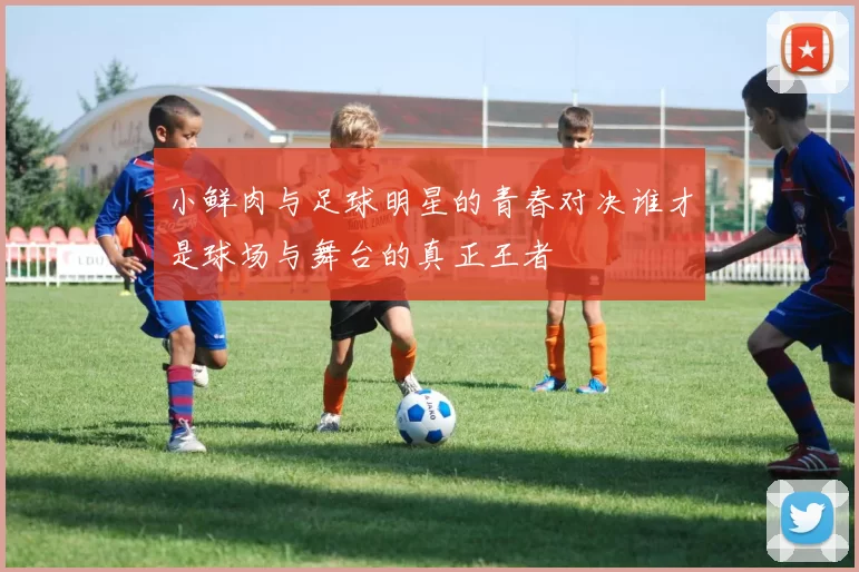 小鲜肉与足球明星的青春对决谁才是球场与舞台的真正王者